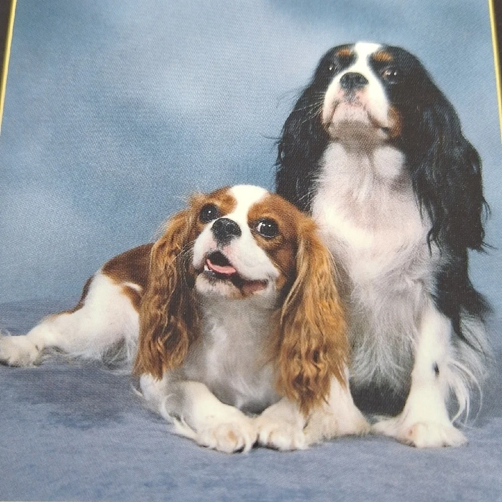 Small Dog Breeds Guide - Brown and Gray Cover